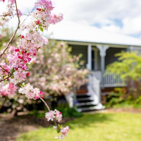 Apple Blossom Cottages Stanthorpe Eksteriør billede