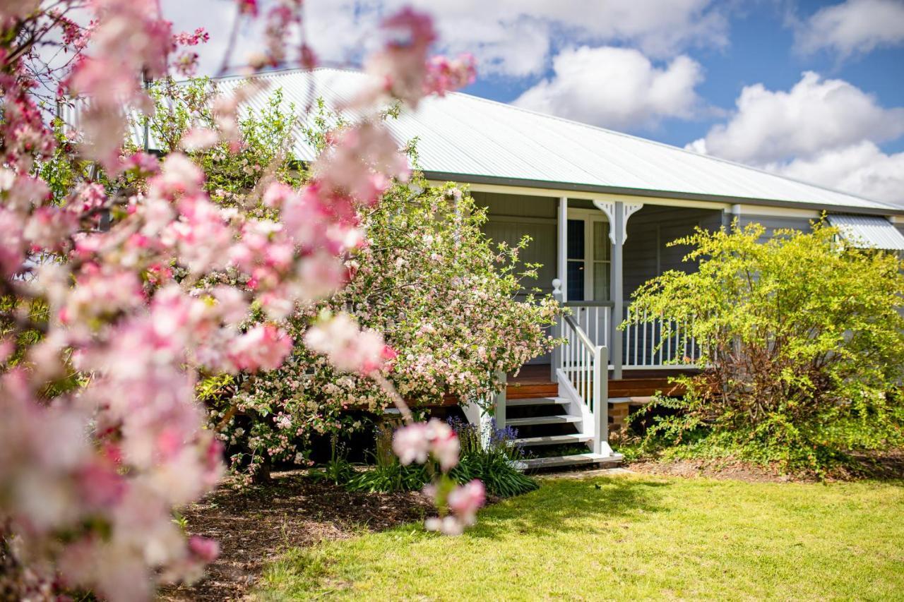 Apple Blossom Cottages Stanthorpe Eksteriør billede